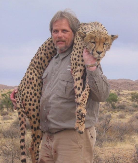 Cheetah1