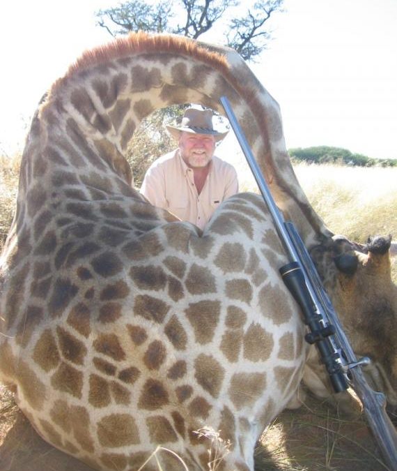 Giraffe 2