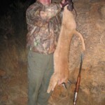 Caracal hunting Namibia