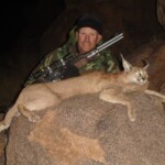 Caracal hunting Namibia