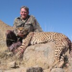 Cheetah Hunting Namibia