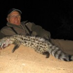 African civet Hunting Namibia