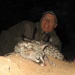 African civet Hunting Namibia