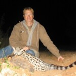 African civet Hunting Namibia