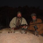 Rock hyrax (Dassie) hunting Namibia