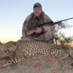 Cheetah Hunting Namibia